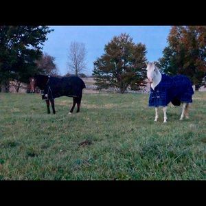 Meet your Posher, Brittany